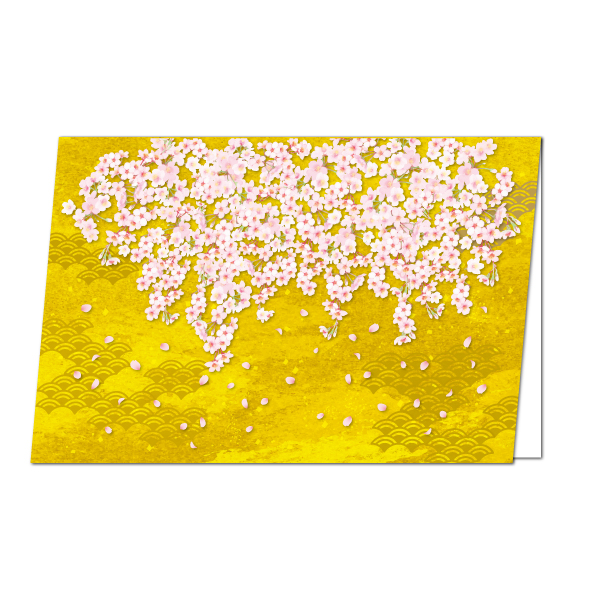 【カード】桜